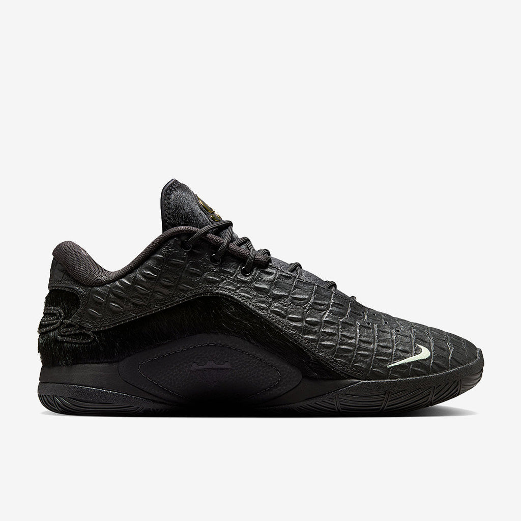 Nike LeBron XXII LX