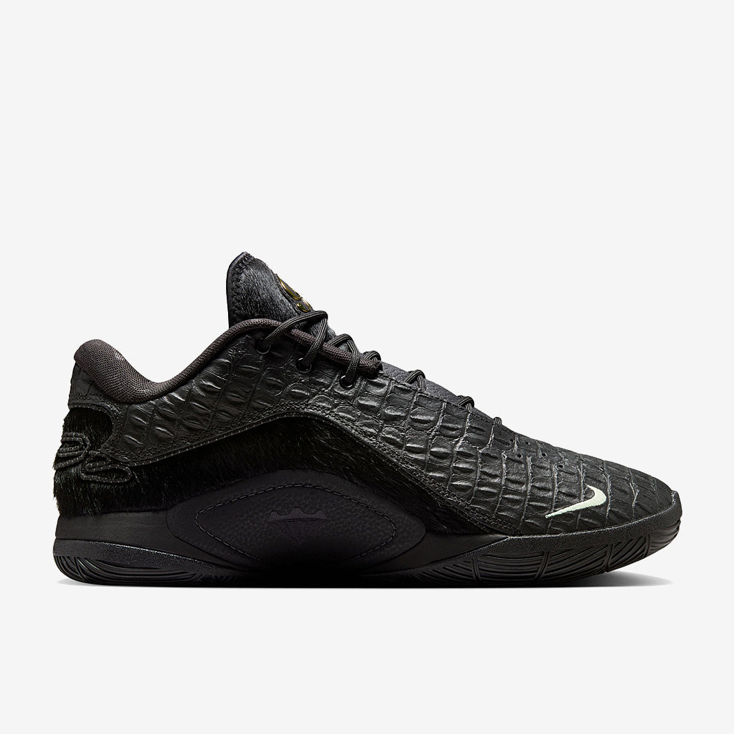 Nike LeBron XXII LX
