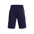 Stunt 3.0 Shorts