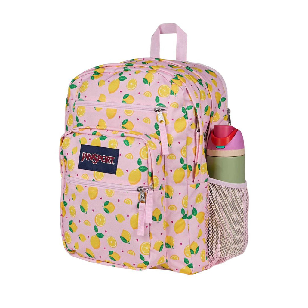 Big Student Backpack