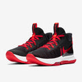 Nike LeBron Witness 5