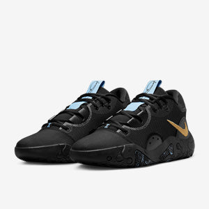 Nike PG6