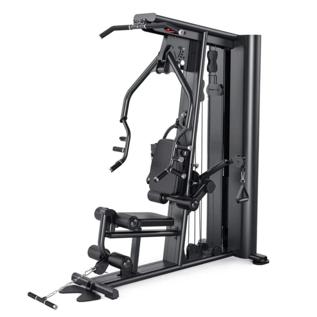 Multi Gym 2-Stations trainer (L133)