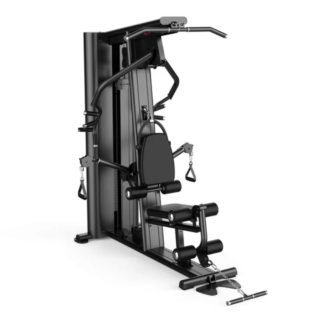 Multi Gym 2-Stations trainer (L133)