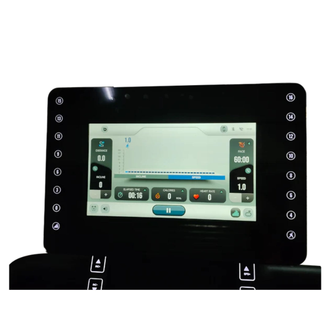 APEX Treadmill