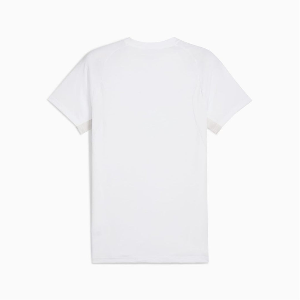 teamGOAL Evostripe Tee