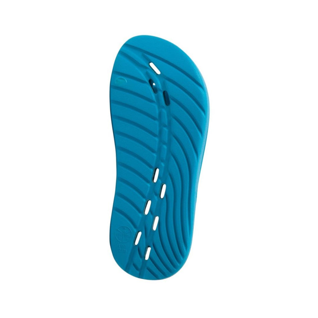 One Piece Slides