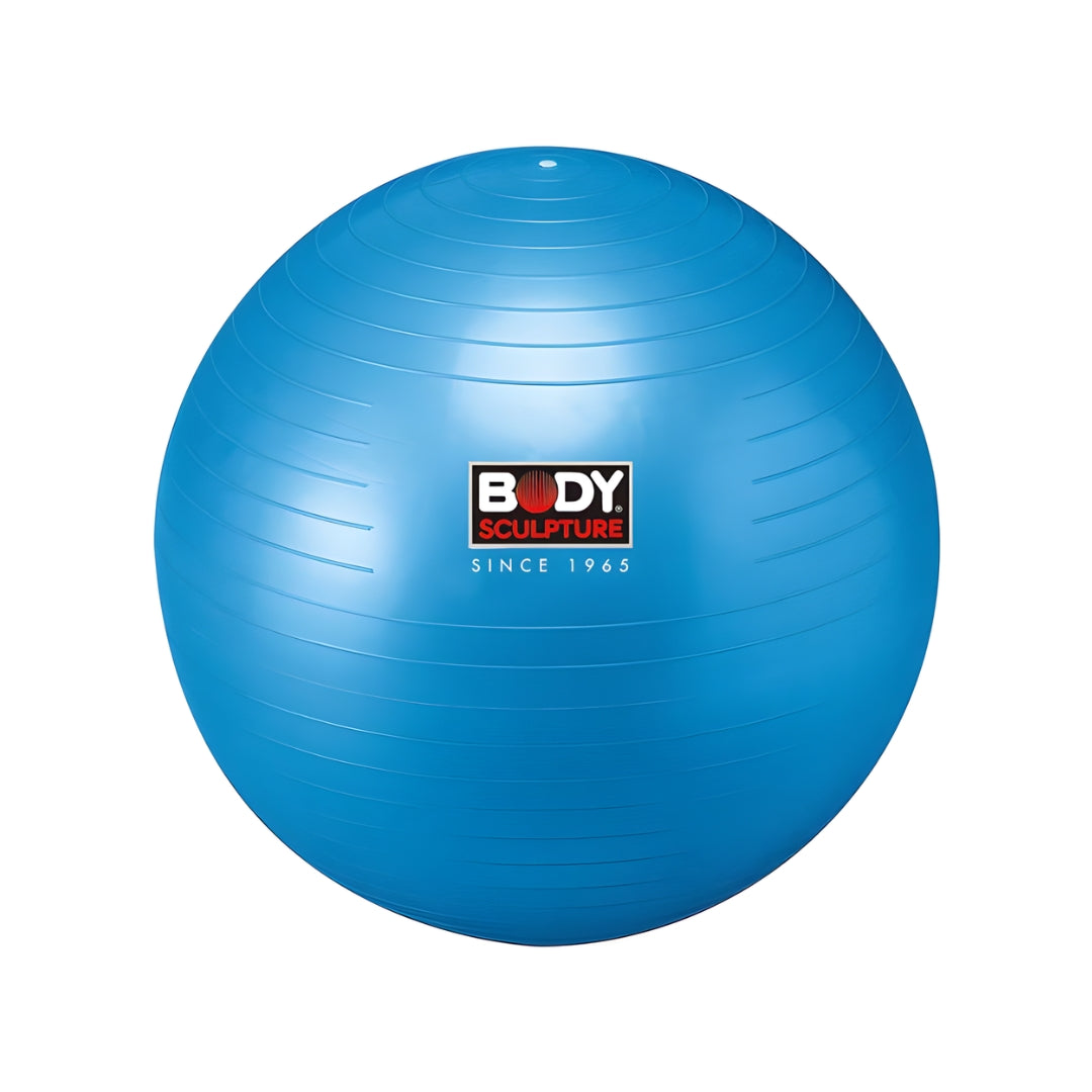 Gym Ball Swiss Ball (76Cm)