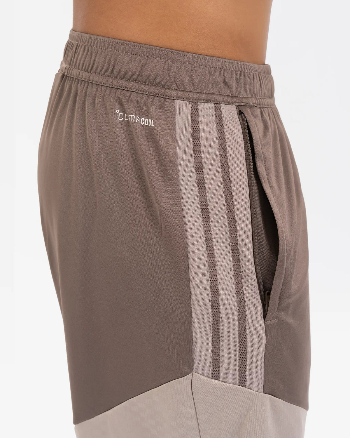 Newcastle United adidas 26/27 Coach's Range Beige Shorts