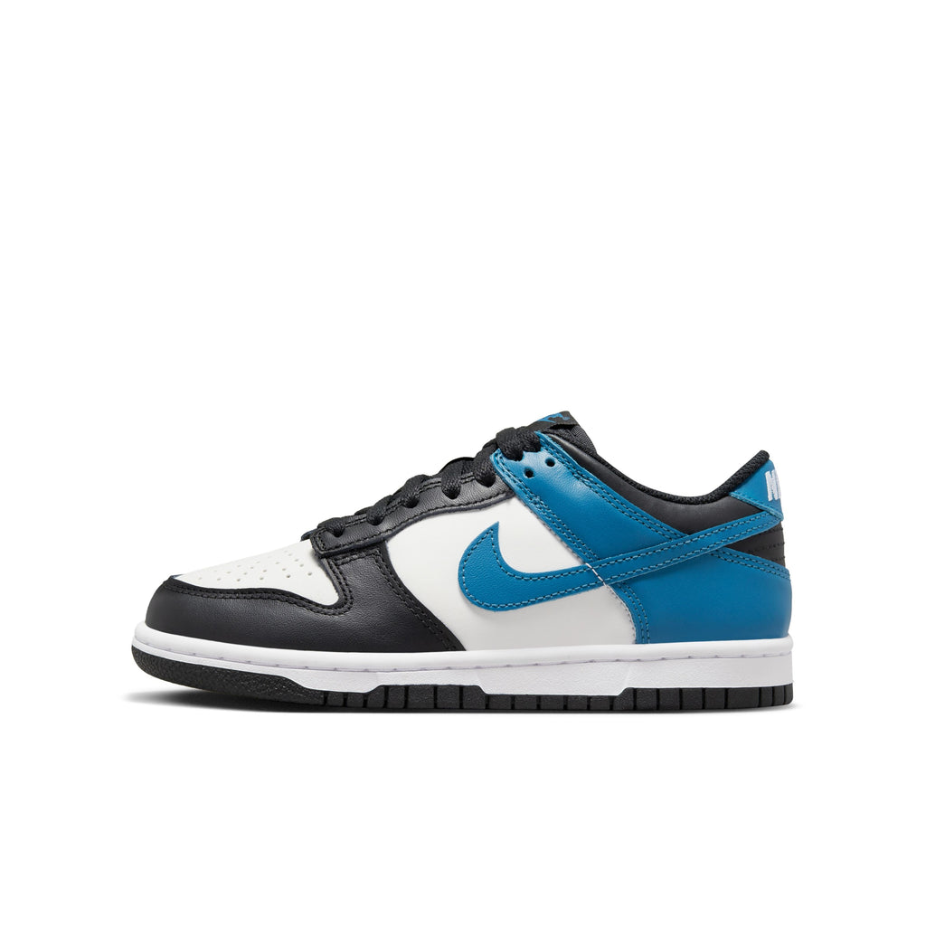 Dunk Low Lifestyle Shoes
