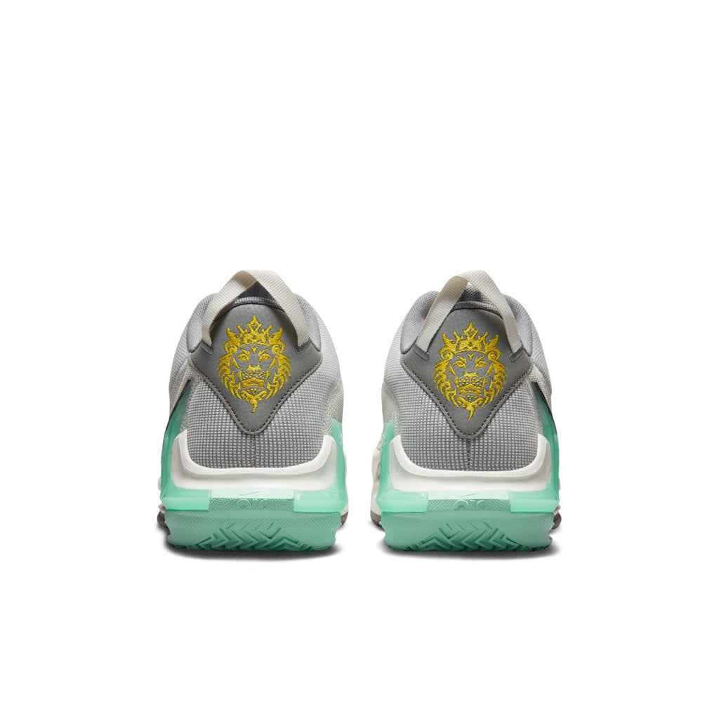 Lebron Witness Basketball Shoes