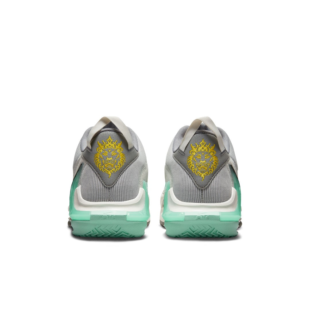 Lebron Witness Basketball Shoes