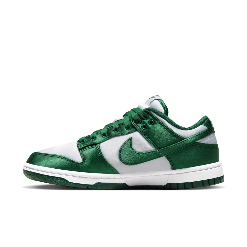 Dunk Lifestyle Shoes