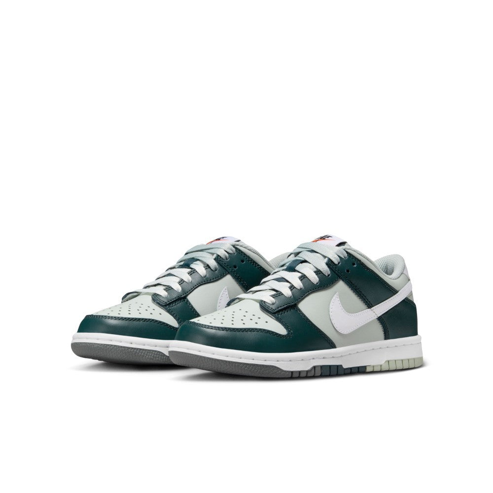 Dunk Lifestyle Shoes