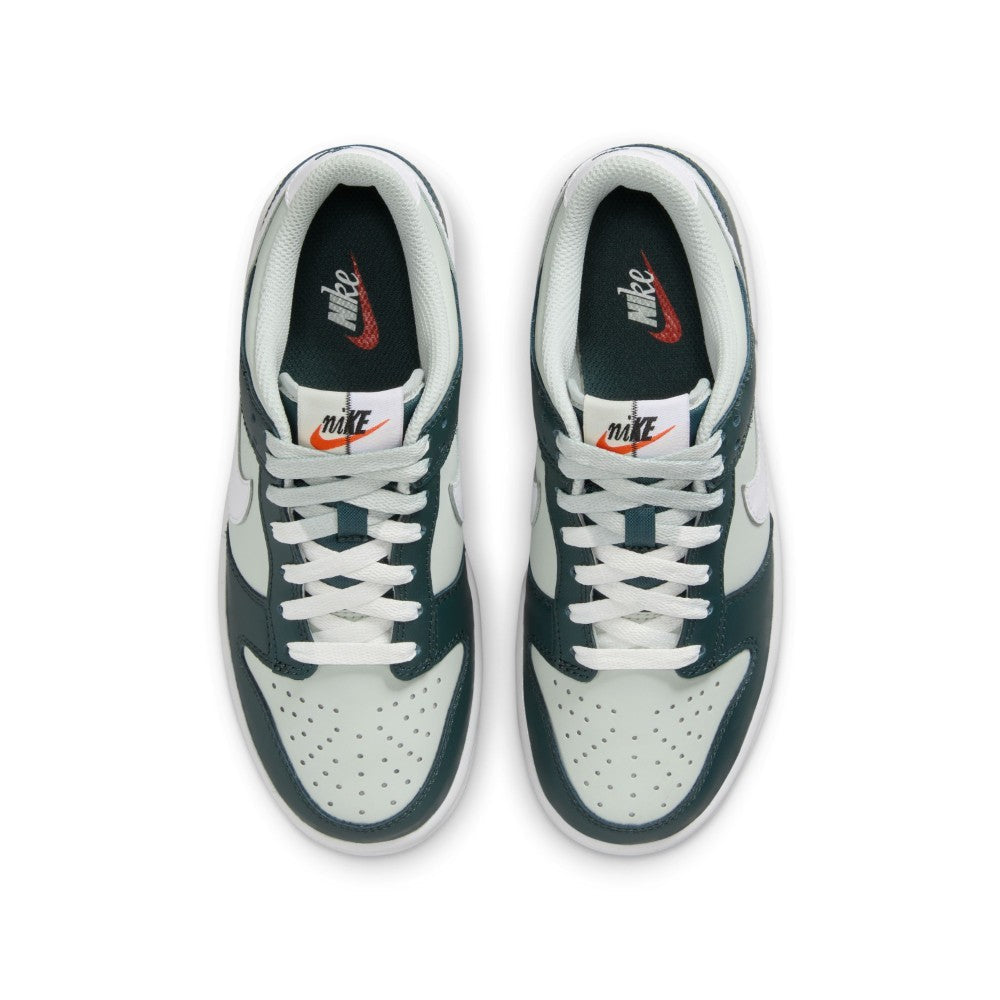 Dunk Lifestyle Shoes