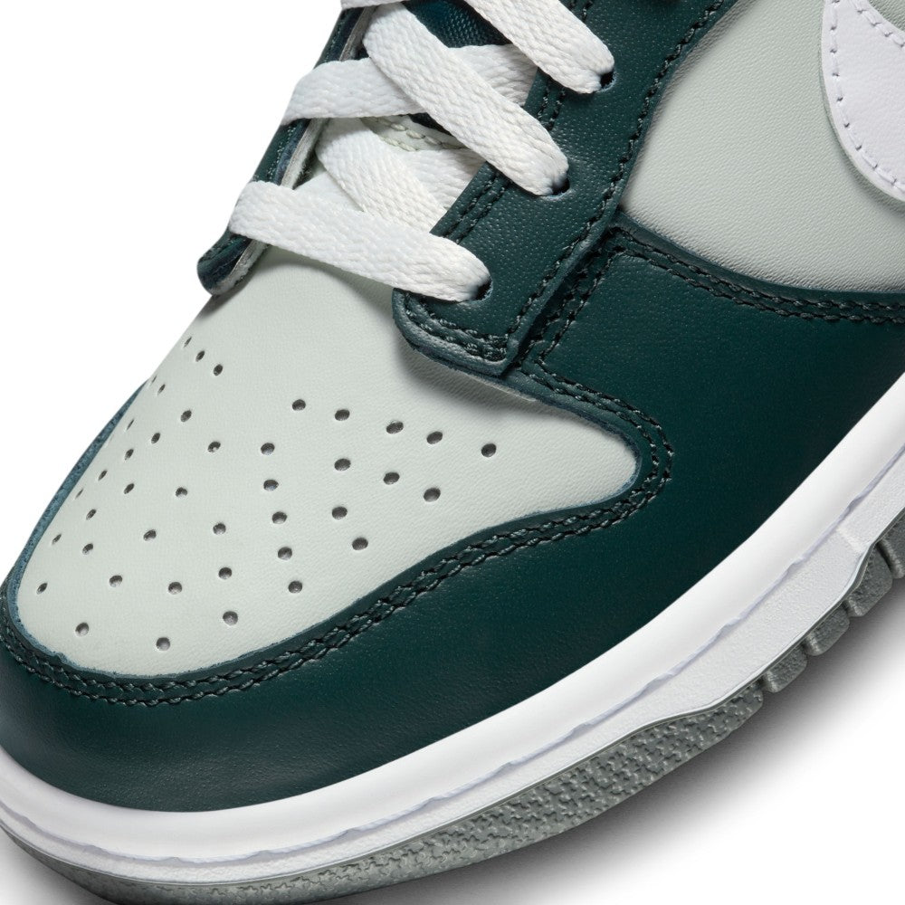 Dunk Lifestyle Shoes