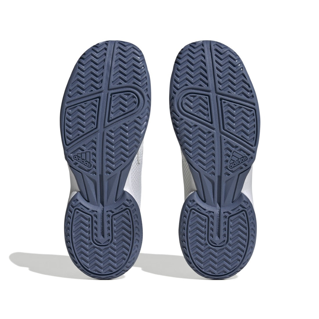 Courtflash Shoes
