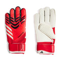 Predator Match Goalkeeper Gloves