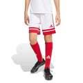 Squadra 25 Shorts