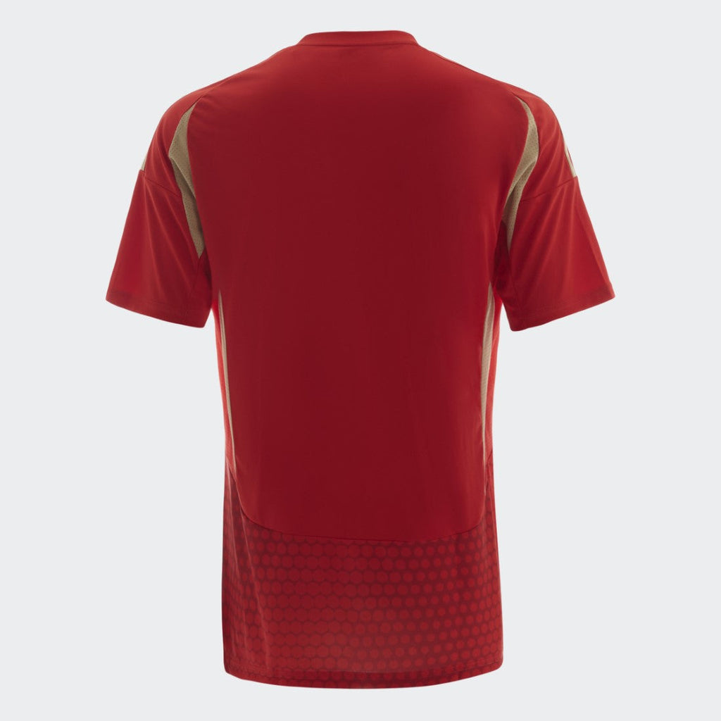 Al Ahly Home Jersey
