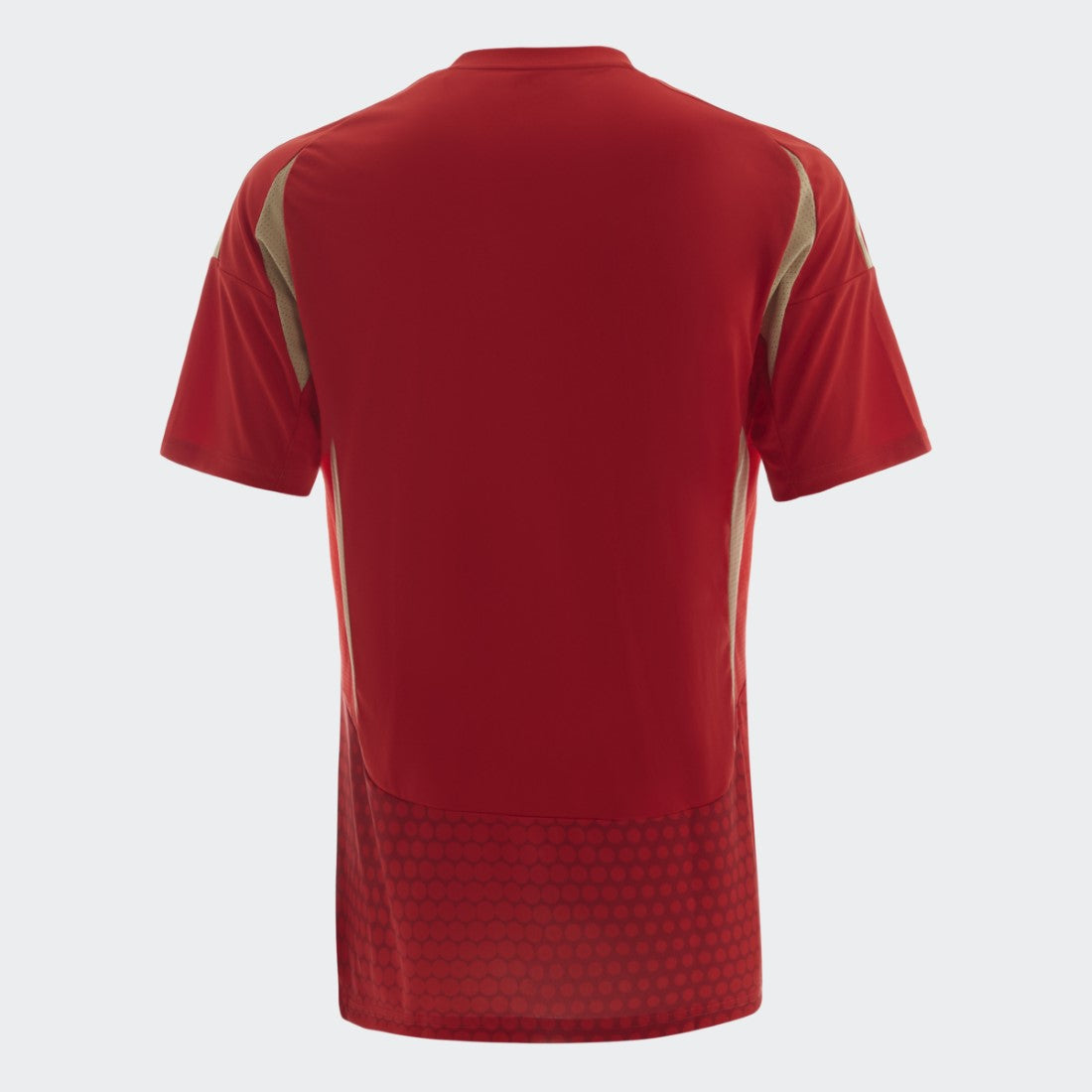 Al Ahly Home Jersey