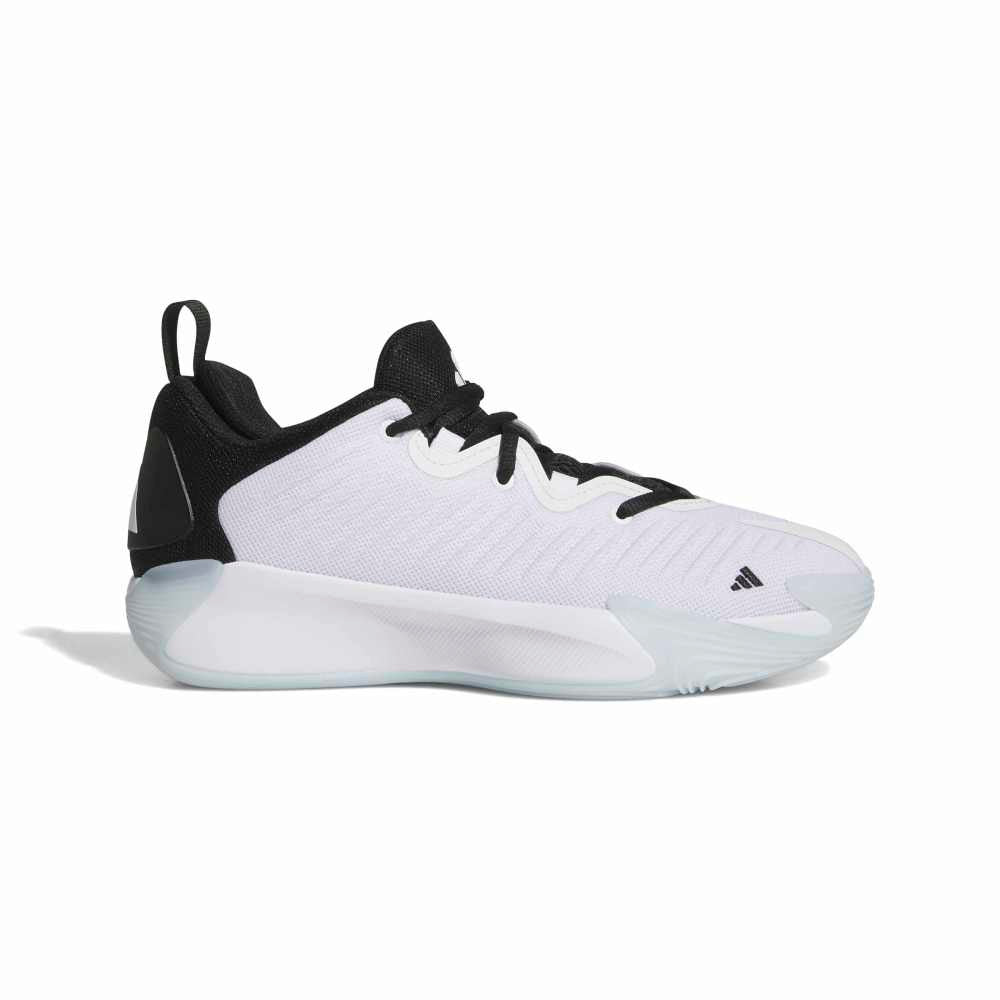 Initiation Shoes