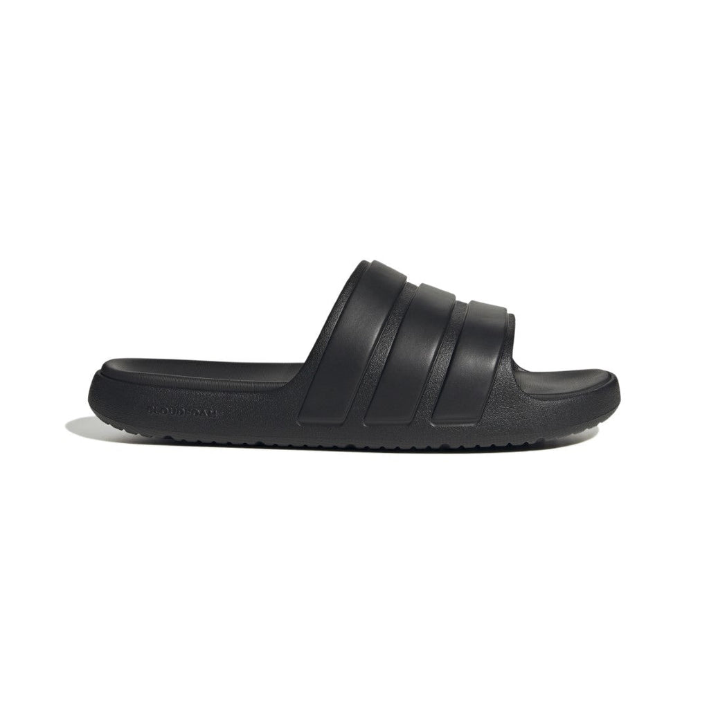 Znsory Slides