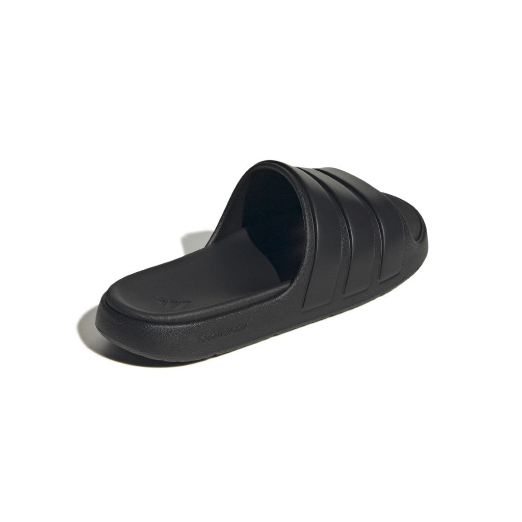 Znsory Slides