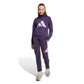 Essentials Climacool Track Suit