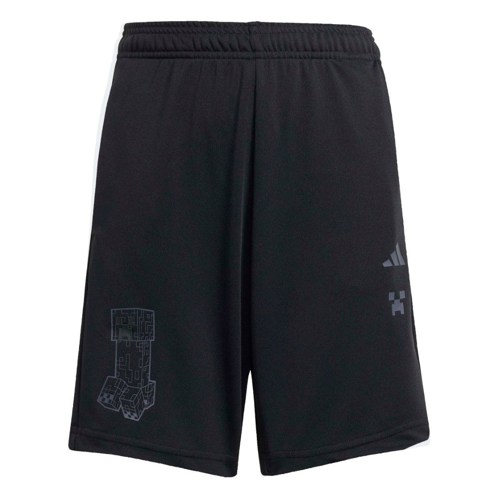 Minecraft Training Short