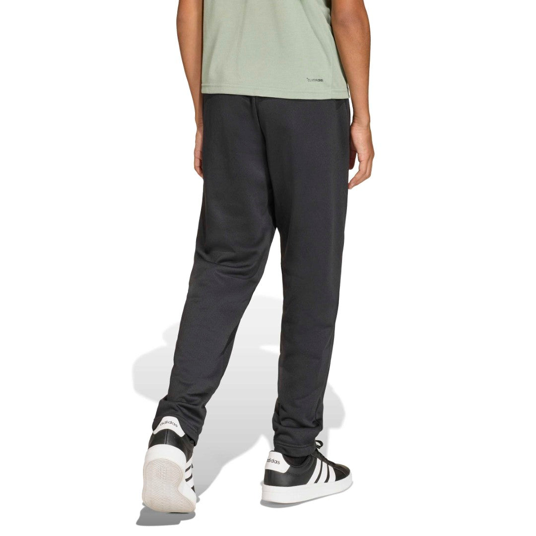 Minecraft Training Pant