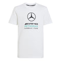 Mercedes - Amg Petronas Formula 1 Team Dna Graphic T-Shirt