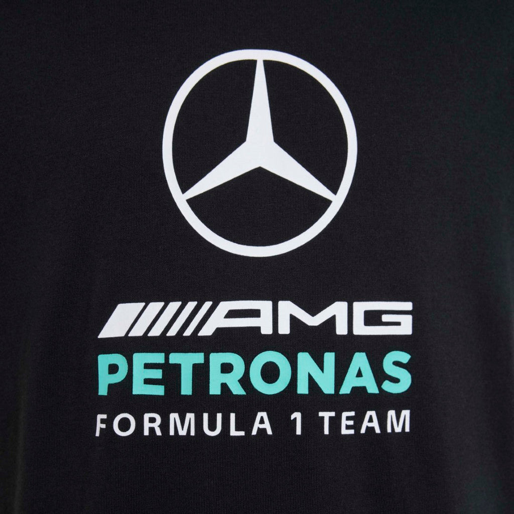 Mercedes - Amg Petronas Formula 1 Team Dna Graphic T-Shirt