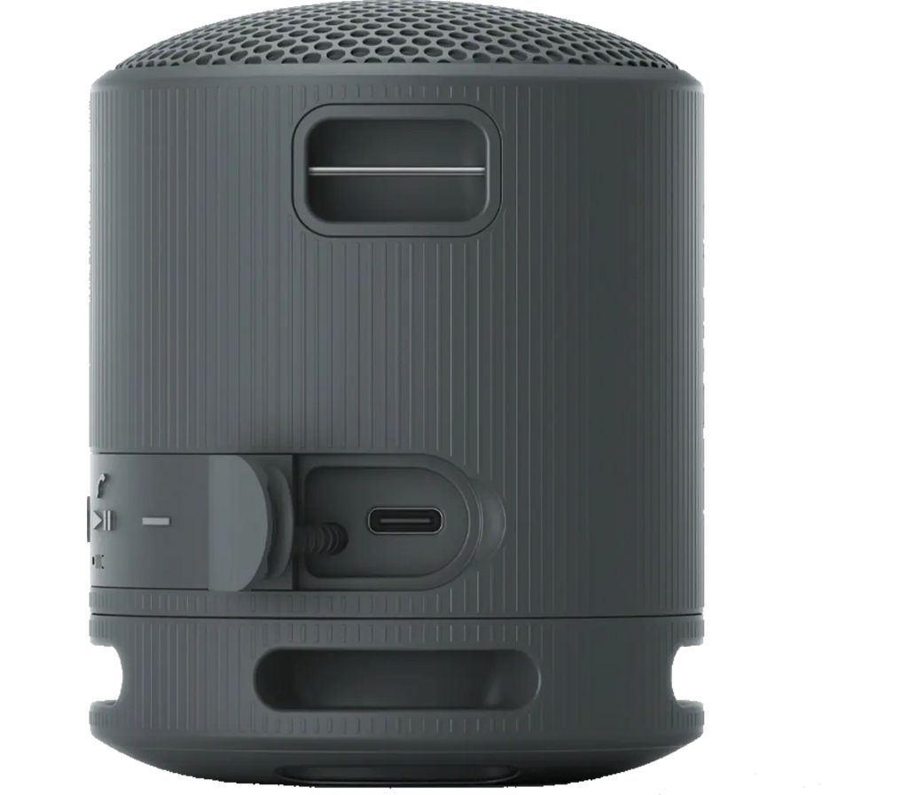 SRS-XB100 Portable Bluetooth Speaker