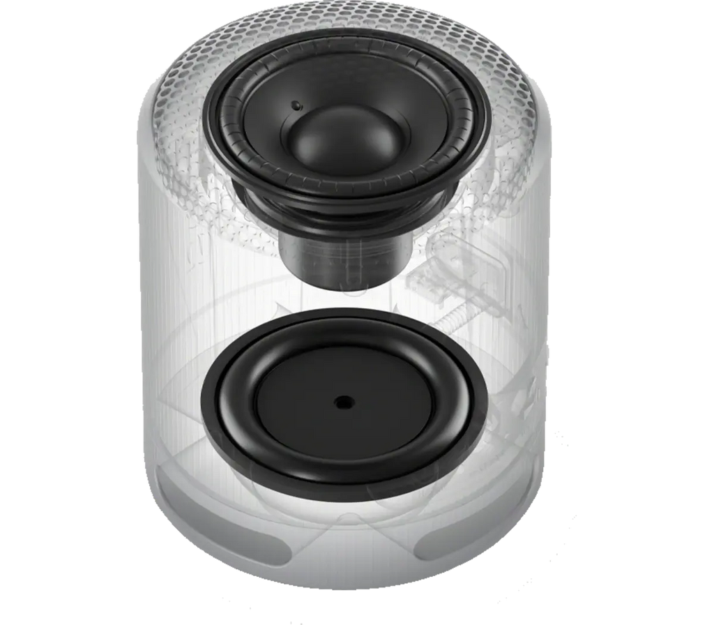 SRS-XB100 Portable Bluetooth Speaker