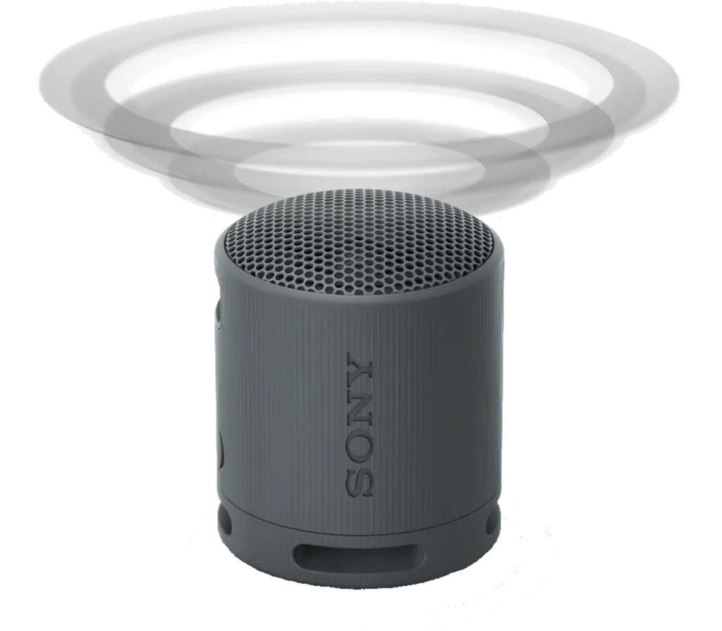 SRS-XB100 Portable Bluetooth Speaker
