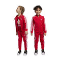 Adicolor Sst Track Suit