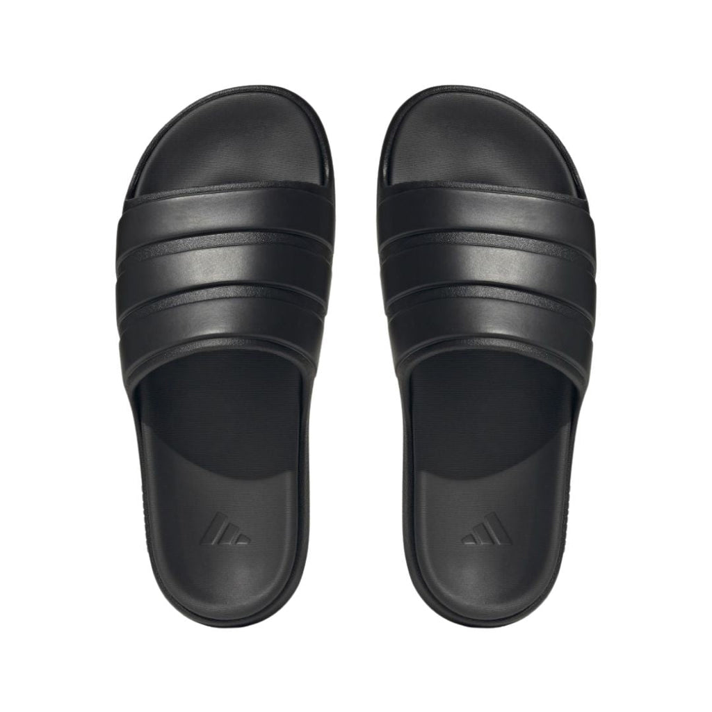 Znsory Slides