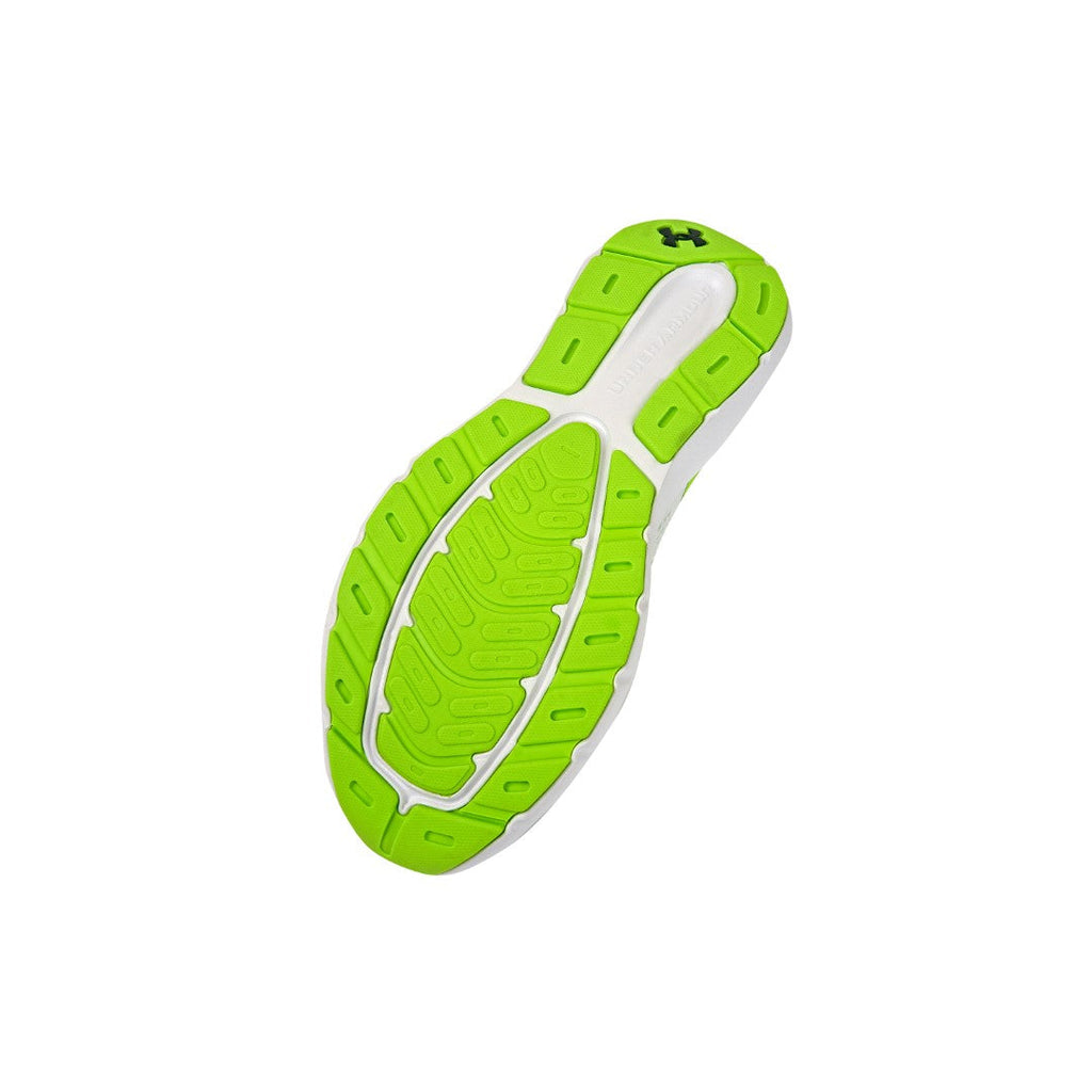 Rogue 5 Running Shoes
