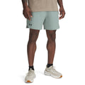 Vanish Woven 6 Inch Shorts