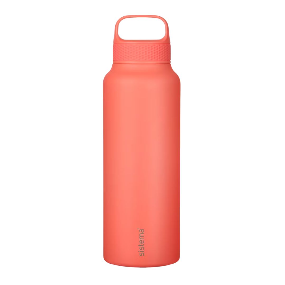 Stainless Steel Bottle Hydrate 650 ml